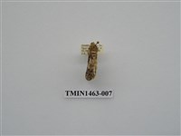 藏品(尺蠖蛾科)的圖片